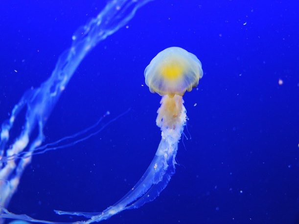 고용보험 실업급여 신청방법