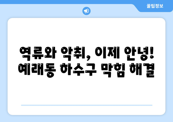 제주도 서귀포시 예래동 하수구막힘 | 가격 | 비용 | 기름제거 | 싱크대 | 변기 | 세면대 | 역류 | 냄새차단 | 2024 후기