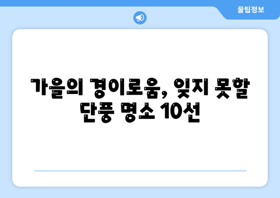 가을의 경이로움, 잊지 못할 단풍 명소 10선