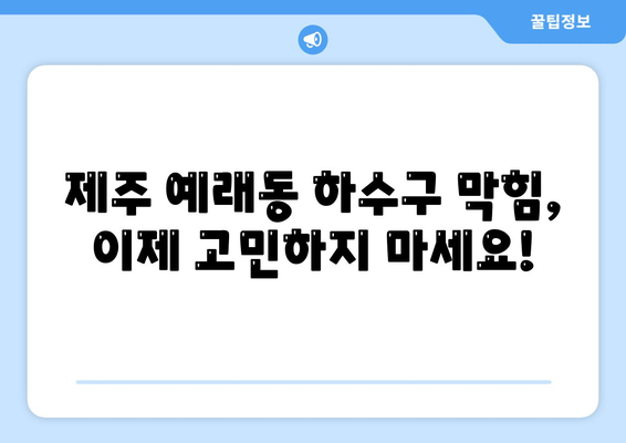 제주도 서귀포시 예래동 하수구막힘 | 가격 | 비용 | 기름제거 | 싱크대 | 변기 | 세면대 | 역류 | 냄새차단 | 2024 후기