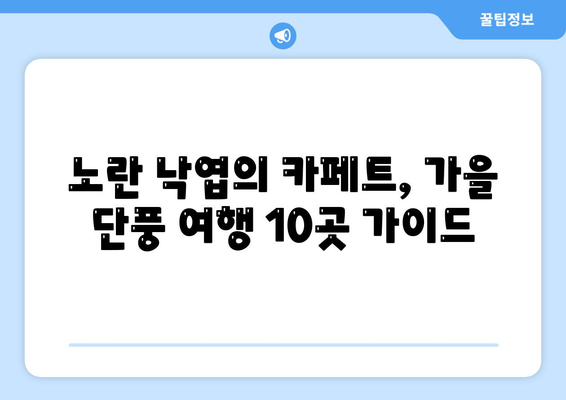 노란 낙엽의 카페트, 가을 단풍 여행 10곳 가이드