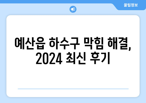 충청남도 예산군 예산읍 하수구막힘 | 가격 | 비용 | 기름제거 | 싱크대 | 변기 | 세면대 | 역류 | 냄새차단 | 2024 후기