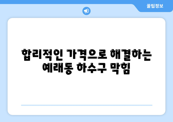 제주도 서귀포시 예래동 하수구막힘 | 가격 | 비용 | 기름제거 | 싱크대 | 변기 | 세면대 | 역류 | 냄새차단 | 2024 후기