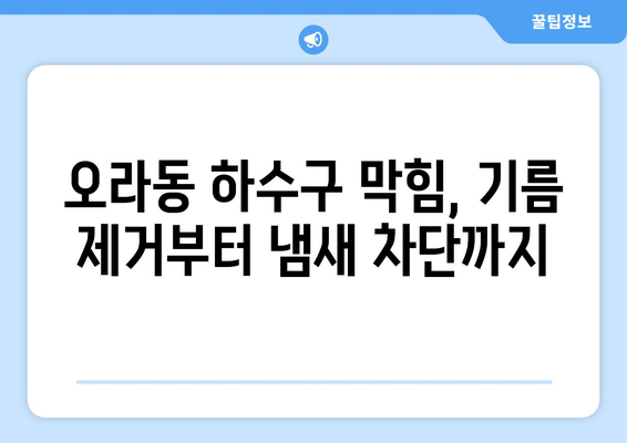 제주도 제주시 오라동 하수구막힘 | 가격 | 비용 | 기름제거 | 싱크대 | 변기 | 세면대 | 역류 | 냄새차단 | 2024 후기