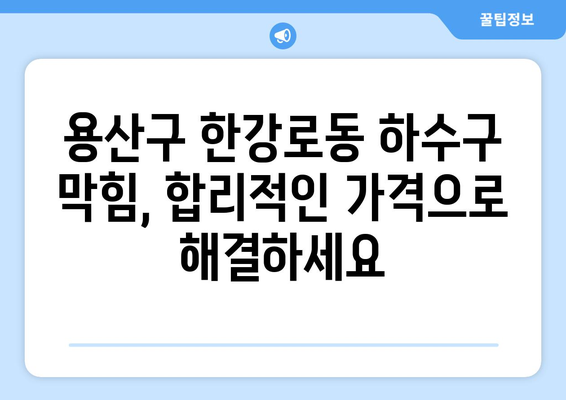 서울시 용산구 한강로동 하수구막힘 | 가격 | 비용 | 기름제거 | 싱크대 | 변기 | 세면대 | 역류 | 냄새차단 | 2024 후기