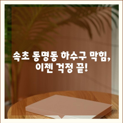 강원도 속초시 동명동 하수구막힘 | 가격 | 비용 | 기름제거 | 싱크대 | 변기 | 세면대 | 역류 | 냄새차단 | 2024 후기