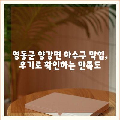 충청북도 영동군 양강면 하수구막힘 | 가격 | 비용 | 기름제거 | 싱크대 | 변기 | 세면대 | 역류 | 냄새차단 | 2024 후기