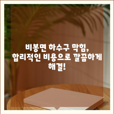 충청남도 청양군 비봉면 하수구막힘 | 가격 | 비용 | 기름제거 | 싱크대 | 변기 | 세면대 | 역류 | 냄새차단 | 2024 후기