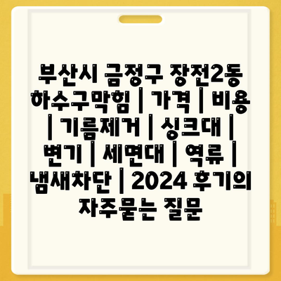 부산시 금정구 장전2동 하수구막힘 | 가격 | 비용 | 기름제거 | 싱크대 | 변기 | 세면대 | 역류 | 냄새차단 | 2024 후기