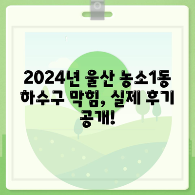 울산시 북구 농소1동 하수구막힘 | 가격 | 비용 | 기름제거 | 싱크대 | 변기 | 세면대 | 역류 | 냄새차단 | 2024 후기