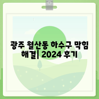 광주시 남구 월산동 하수구막힘 | 가격 | 비용 | 기름제거 | 싱크대 | 변기 | 세면대 | 역류 | 냄새차단 | 2024 후기