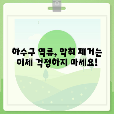 전라북도 임실군 청웅면 하수구막힘 | 가격 | 비용 | 기름제거 | 싱크대 | 변기 | 세면대 | 역류 | 냄새차단 | 2024 후기