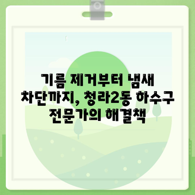 인천시 서구 청라2동 하수구막힘 | 가격 | 비용 | 기름제거 | 싱크대 | 변기 | 세면대 | 역류 | 냄새차단 | 2024 후기