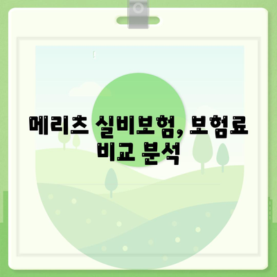 메리츠 실비보험