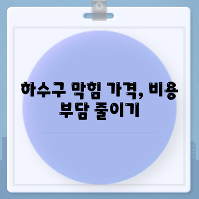 대전시 중구 대흥동 하수구막힘 | 가격 | 비용 | 기름제거 | 싱크대 | 변기 | 세면대 | 역류 | 냄새차단 | 2024 후기