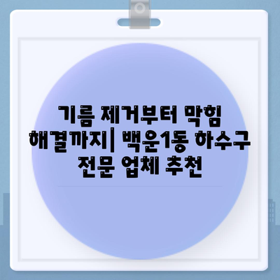 광주시 남구 백운1동 하수구막힘 | 가격 | 비용 | 기름제거 | 싱크대 | 변기 | 세면대 | 역류 | 냄새차단 | 2024 후기