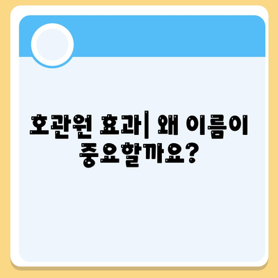 호관원 효과