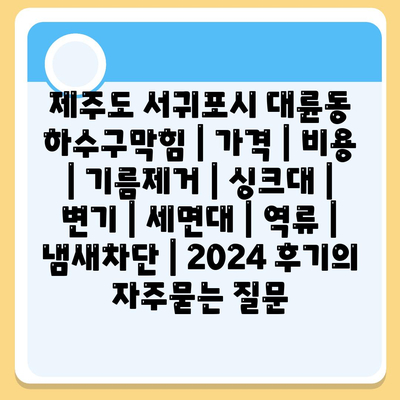 제주도 서귀포시 대륜동 하수구막힘 | 가격 | 비용 | 기름제거 | 싱크대 | 변기 | 세면대 | 역류 | 냄새차단 | 2024 후기