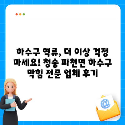 경상북도 청송군 파천면 하수구막힘 | 가격 | 비용 | 기름제거 | 싱크대 | 변기 | 세면대 | 역류 | 냄새차단 | 2024 후기