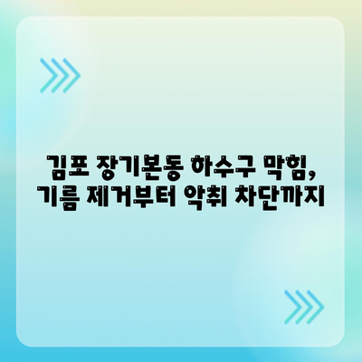 경기도 김포시 장기본동 하수구막힘 | 가격 | 비용 | 기름제거 | 싱크대 | 변기 | 세면대 | 역류 | 냄새차단 | 2024 후기