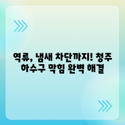 충청북도 청주시 상당구 남문로1동 하수구막힘 | 가격 | 비용 | 기름제거 | 싱크대 | 변기 | 세면대 | 역류 | 냄새차단 | 2024 후기