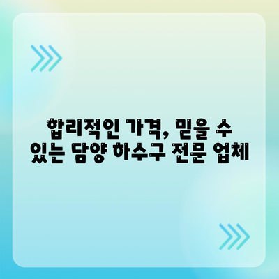 전라남도 담양군 수북면 하수구막힘 | 가격 | 비용 | 기름제거 | 싱크대 | 변기 | 세면대 | 역류 | 냄새차단 | 2024 후기