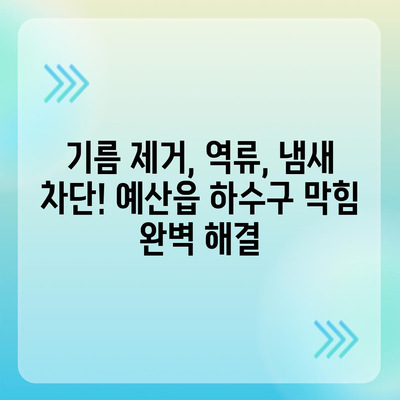 충청남도 예산군 예산읍 하수구막힘 | 가격 | 비용 | 기름제거 | 싱크대 | 변기 | 세면대 | 역류 | 냄새차단 | 2024 후기