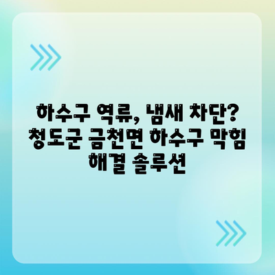 경상북도 청도군 금천면 하수구막힘 | 가격 | 비용 | 기름제거 | 싱크대 | 변기 | 세면대 | 역류 | 냄새차단 | 2024 후기