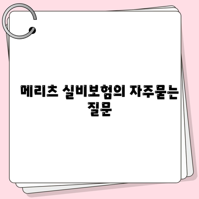 메리츠 실비보험