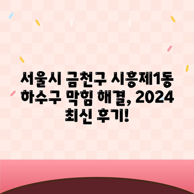 서울시 금천구 시흥제1동 하수구막힘 | 가격 | 비용 | 기름제거 | 싱크대 | 변기 | 세면대 | 역류 | 냄새차단 | 2024 후기