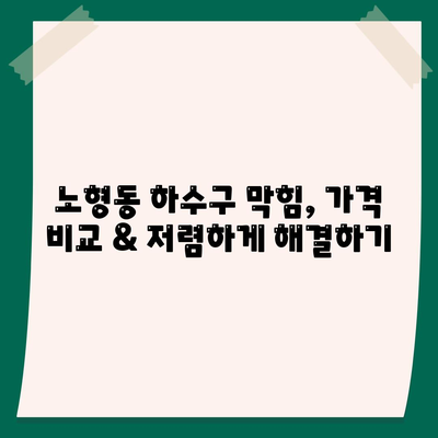 제주도 제주시 노형동 하수구막힘 | 가격 | 비용 | 기름제거 | 싱크대 | 변기 | 세면대 | 역류 | 냄새차단 | 2024 후기