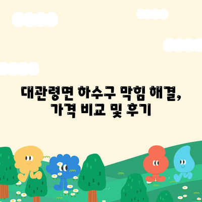 강원도 평창군 대관령면 하수구막힘 | 가격 | 비용 | 기름제거 | 싱크대 | 변기 | 세면대 | 역류 | 냄새차단 | 2024 후기