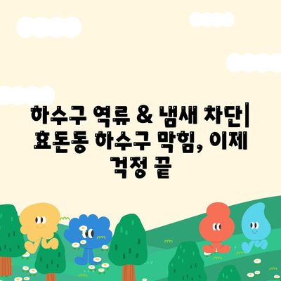 제주도 서귀포시 효돈동 하수구막힘 | 가격 | 비용 | 기름제거 | 싱크대 | 변기 | 세면대 | 역류 | 냄새차단 | 2024 후기