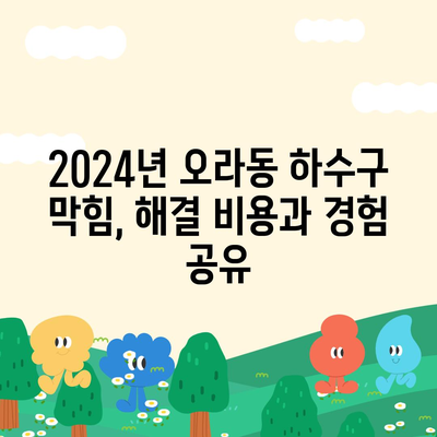 제주도 제주시 오라동 하수구막힘 | 가격 | 비용 | 기름제거 | 싱크대 | 변기 | 세면대 | 역류 | 냄새차단 | 2024 후기