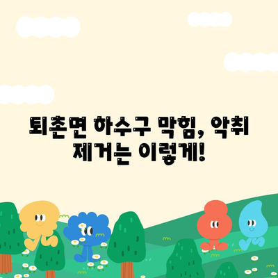 경기도 광주시 퇴촌면 하수구막힘 | 가격 | 비용 | 기름제거 | 싱크대 | 변기 | 세면대 | 역류 | 냄새차단 | 2024 후기