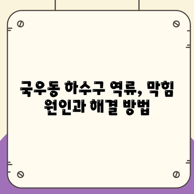 대구시 북구 국우동 하수구막힘 | 가격 | 비용 | 기름제거 | 싱크대 | 변기 | 세면대 | 역류 | 냄새차단 | 2024 후기