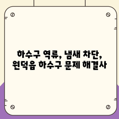 강원도 삼척시 원덕읍 하수구막힘 | 가격 | 비용 | 기름제거 | 싱크대 | 변기 | 세면대 | 역류 | 냄새차단 | 2024 후기