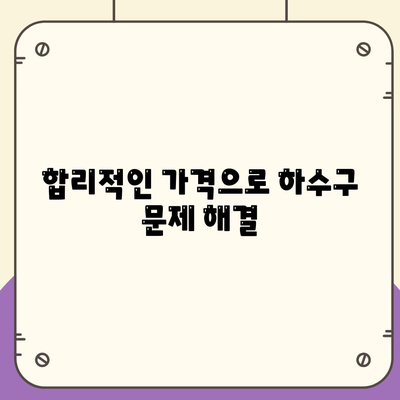 대구시 동구 안심2동 하수구막힘 | 가격 | 비용 | 기름제거 | 싱크대 | 변기 | 세면대 | 역류 | 냄새차단 | 2024 후기