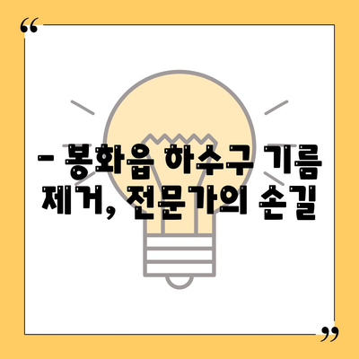 경상북도 봉화군 봉화읍 하수구막힘 | 가격 | 비용 | 기름제거 | 싱크대 | 변기 | 세면대 | 역류 | 냄새차단 | 2024 후기