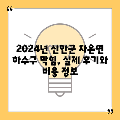 전라남도 신안군 자은면 하수구막힘 | 가격 | 비용 | 기름제거 | 싱크대 | 변기 | 세면대 | 역류 | 냄새차단 | 2024 후기