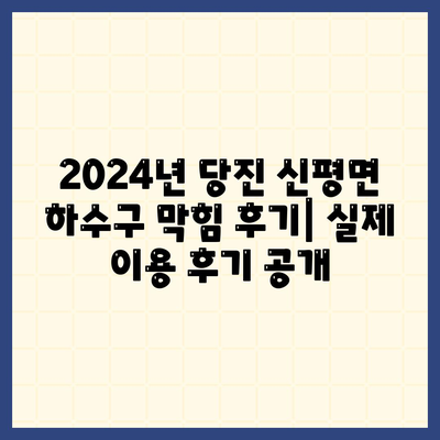 충청남도 당진시 신평면 하수구막힘 | 가격 | 비용 | 기름제거 | 싱크대 | 변기 | 세면대 | 역류 | 냄새차단 | 2024 후기