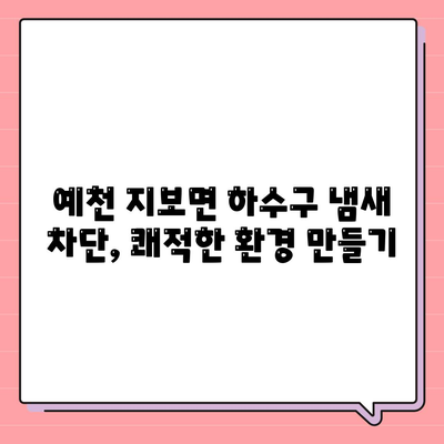 경상북도 예천군 지보면 하수구막힘 | 가격 | 비용 | 기름제거 | 싱크대 | 변기 | 세면대 | 역류 | 냄새차단 | 2024 후기