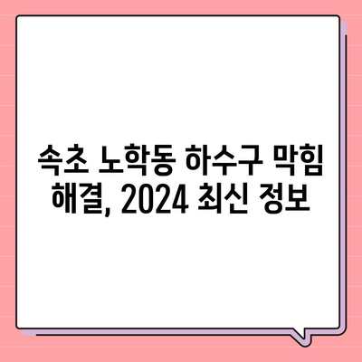 강원도 속초시 노학동 하수구막힘 | 가격 | 비용 | 기름제거 | 싱크대 | 변기 | 세면대 | 역류 | 냄새차단 | 2024 후기