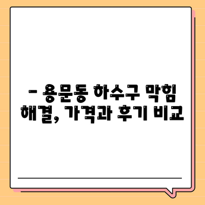 대전시 서구 용문동 하수구막힘 | 가격 | 비용 | 기름제거 | 싱크대 | 변기 | 세면대 | 역류 | 냄새차단 | 2024 후기