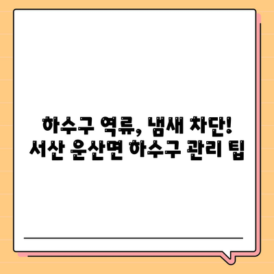 충청남도 서산시 운산면 하수구막힘 | 가격 | 비용 | 기름제거 | 싱크대 | 변기 | 세면대 | 역류 | 냄새차단 | 2024 후기