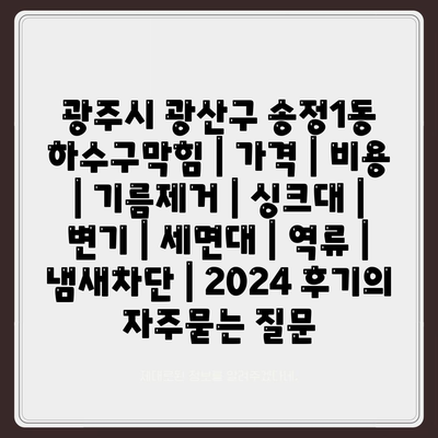 광주시 광산구 송정1동 하수구막힘 | 가격 | 비용 | 기름제거 | 싱크대 | 변기 | 세면대 | 역류 | 냄새차단 | 2024 후기