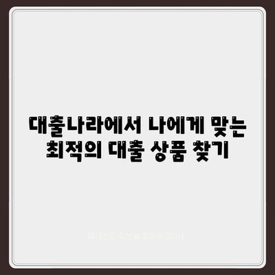 대출나라