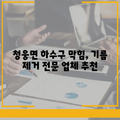 전라북도 임실군 청웅면 하수구막힘 | 가격 | 비용 | 기름제거 | 싱크대 | 변기 | 세면대 | 역류 | 냄새차단 | 2024 후기