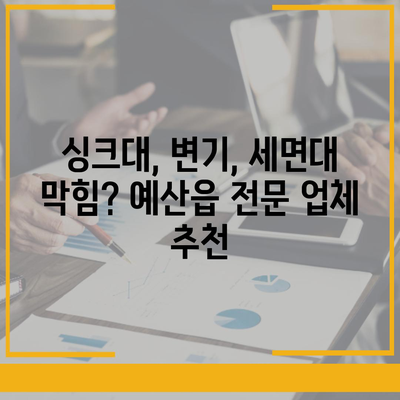 충청남도 예산군 예산읍 하수구막힘 | 가격 | 비용 | 기름제거 | 싱크대 | 변기 | 세면대 | 역류 | 냄새차단 | 2024 후기