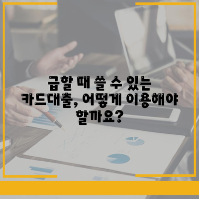 단기카드대출 비상금대출